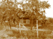 Maison traditionnelle hongroise